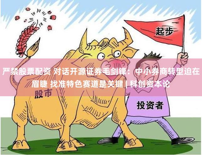 严禁股票配资 对话开源证券毛剑锋：中小券商转型迫在眉睫 找准特色赛道是关键 | 科创资本论