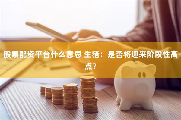 股票配资平台什么意思 生猪：是否将迎来阶段性高点？