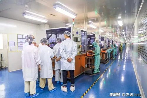 業績向好，股價卻下跌 新消費‘第一股’們怎么了？